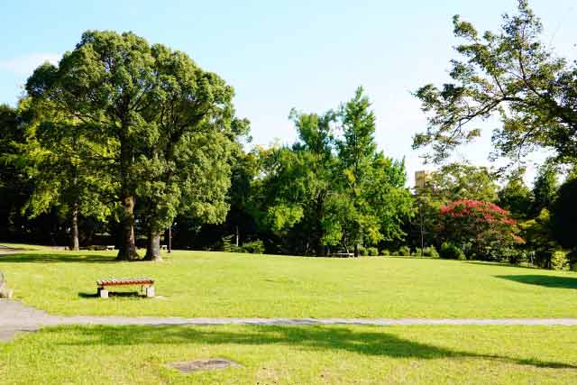 緑がキレイな誰もいない公園