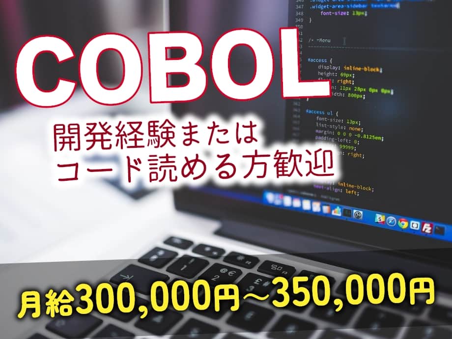 COBOL開発経験者歓迎、既存システムの運用保守ヘルプデスク
